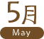 5月