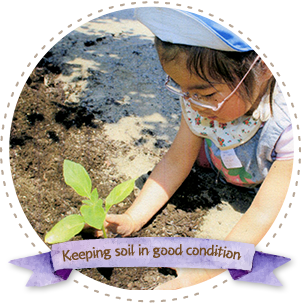 Keeping soil in good condition